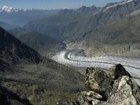 CH, Wallis, Fiesch, Groszer Aletschgletscher 4, Saxifraga-Jan van der Straaten